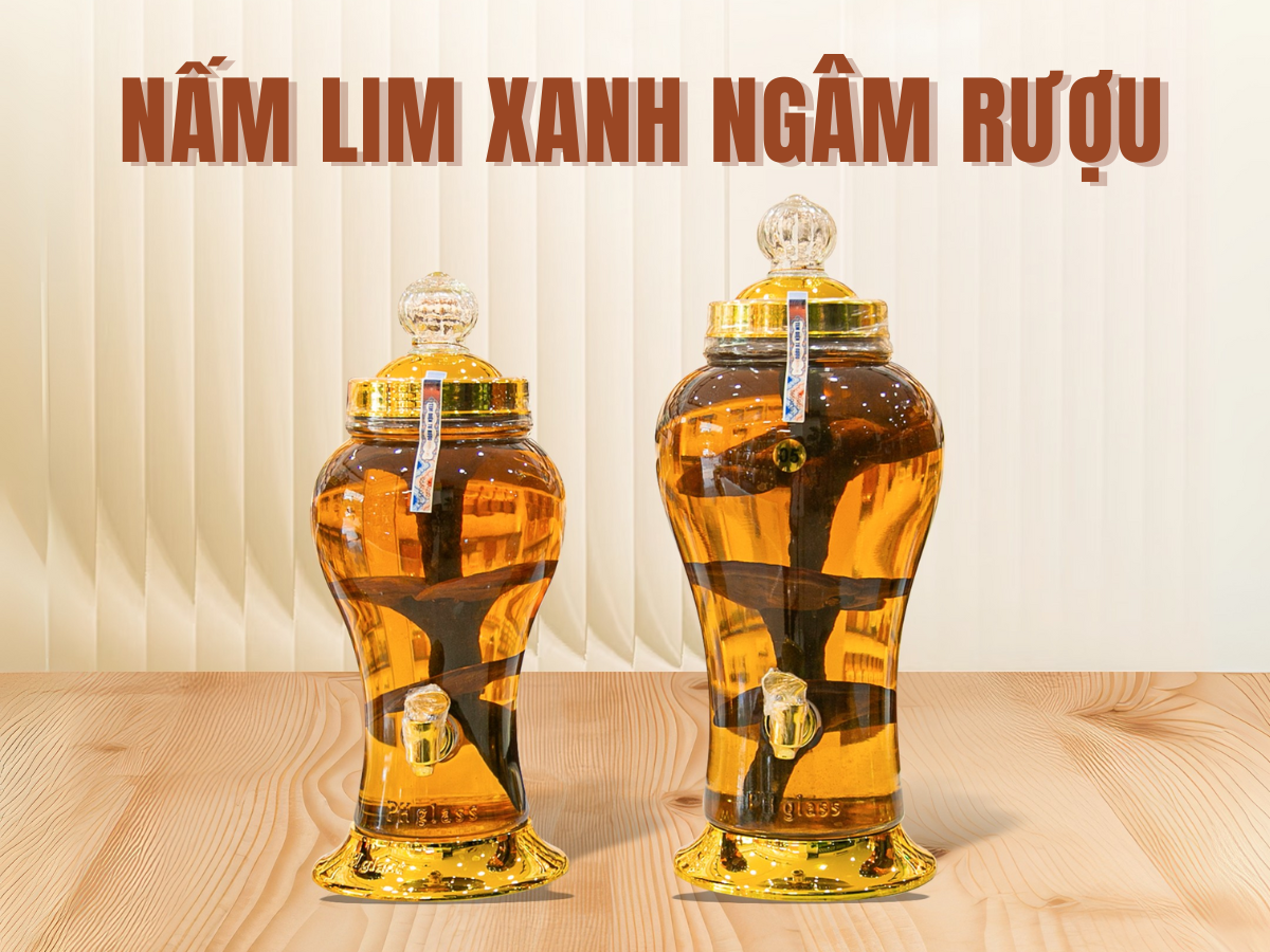 nấm lim xanh ngâm rượu